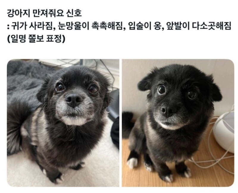 만져줘요 신호