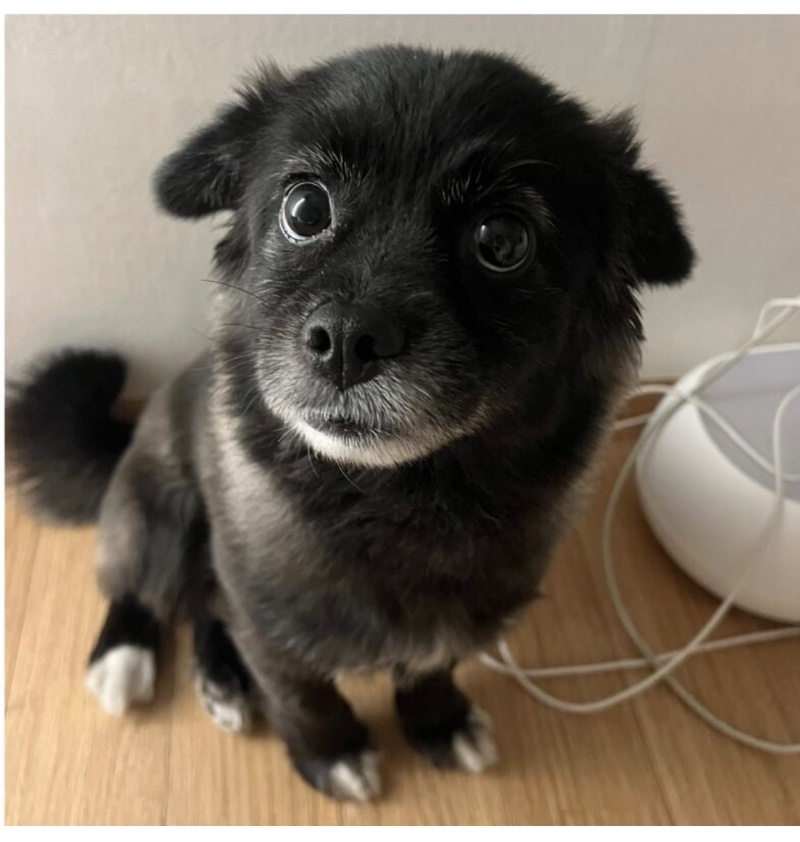 만져줘요 신호