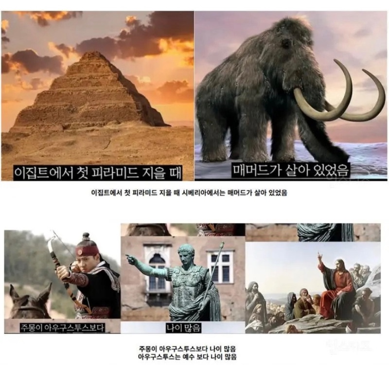 세계의 역사가 겹치는 순간들