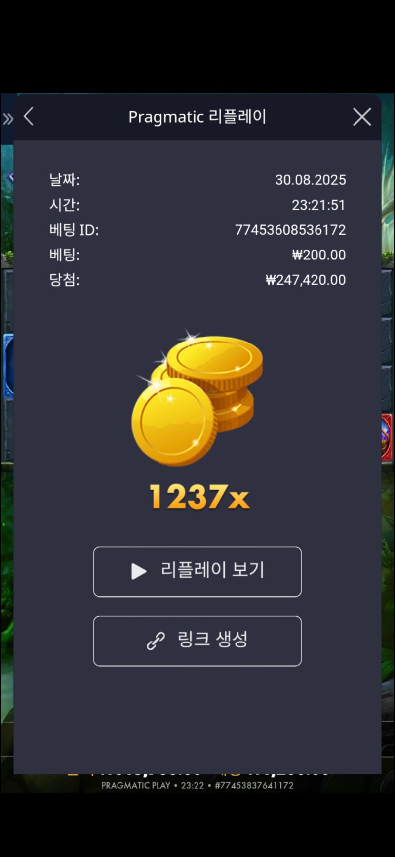 멀린 1237