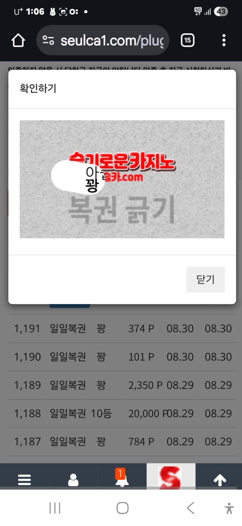 첫일보기 꽝