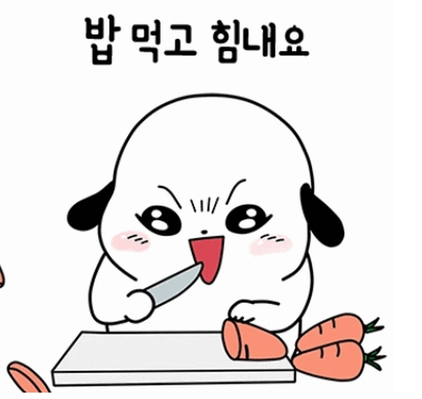 비가 쏟아 지네요