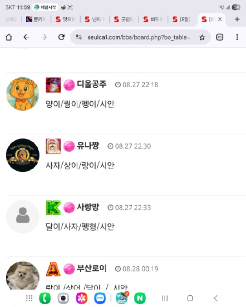 우왕 양이님 나이스