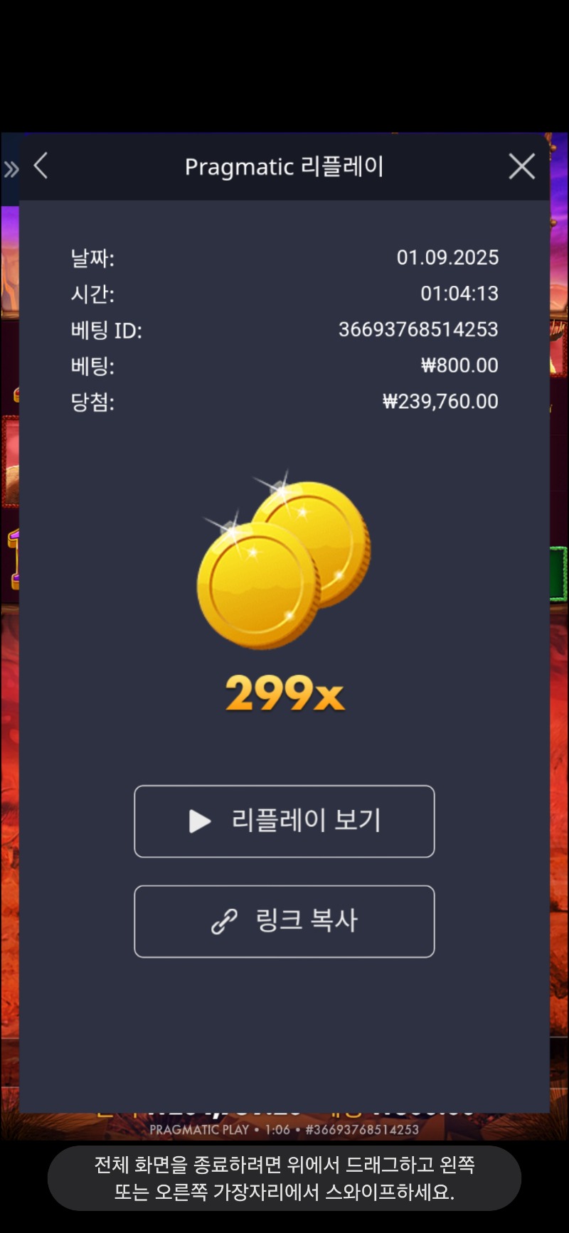 버메가 299배
