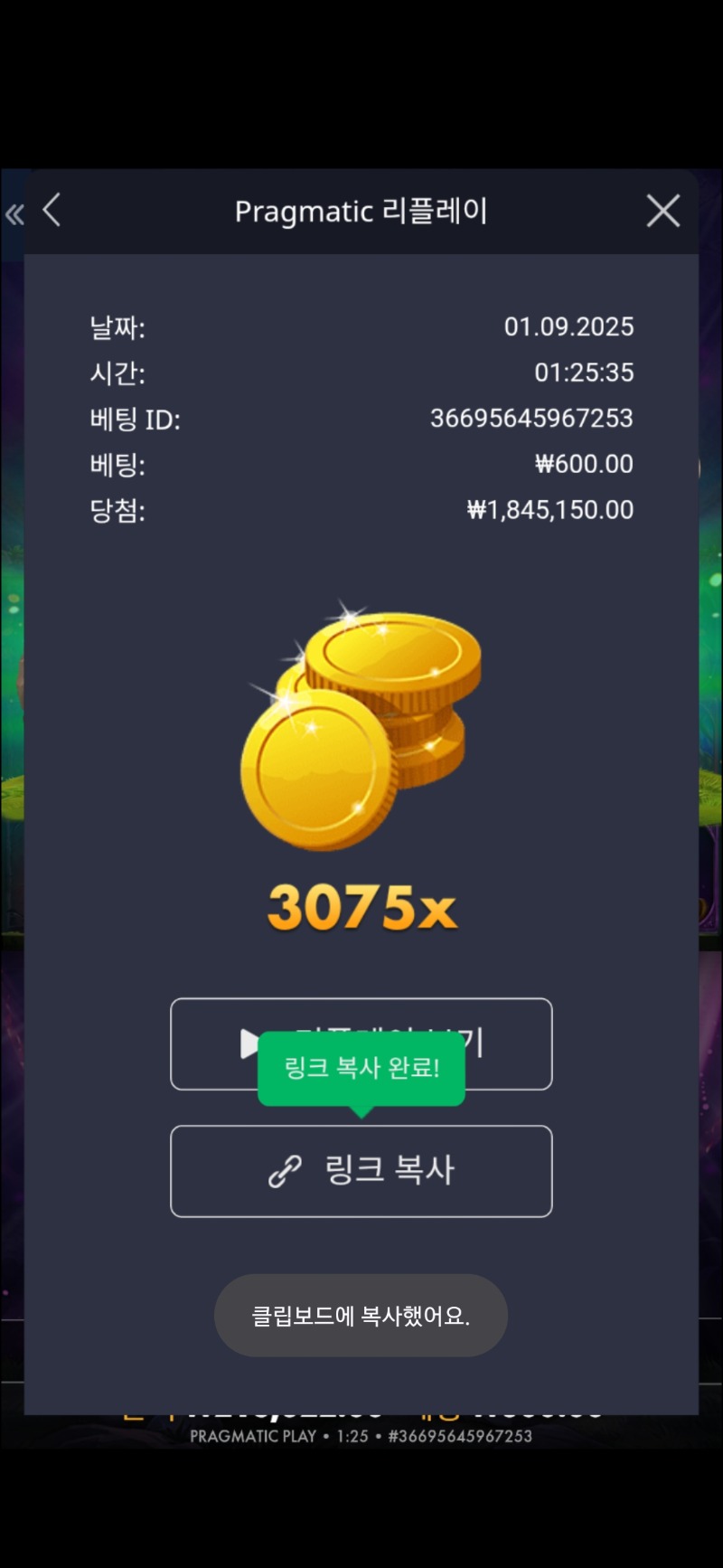멀린 3075배