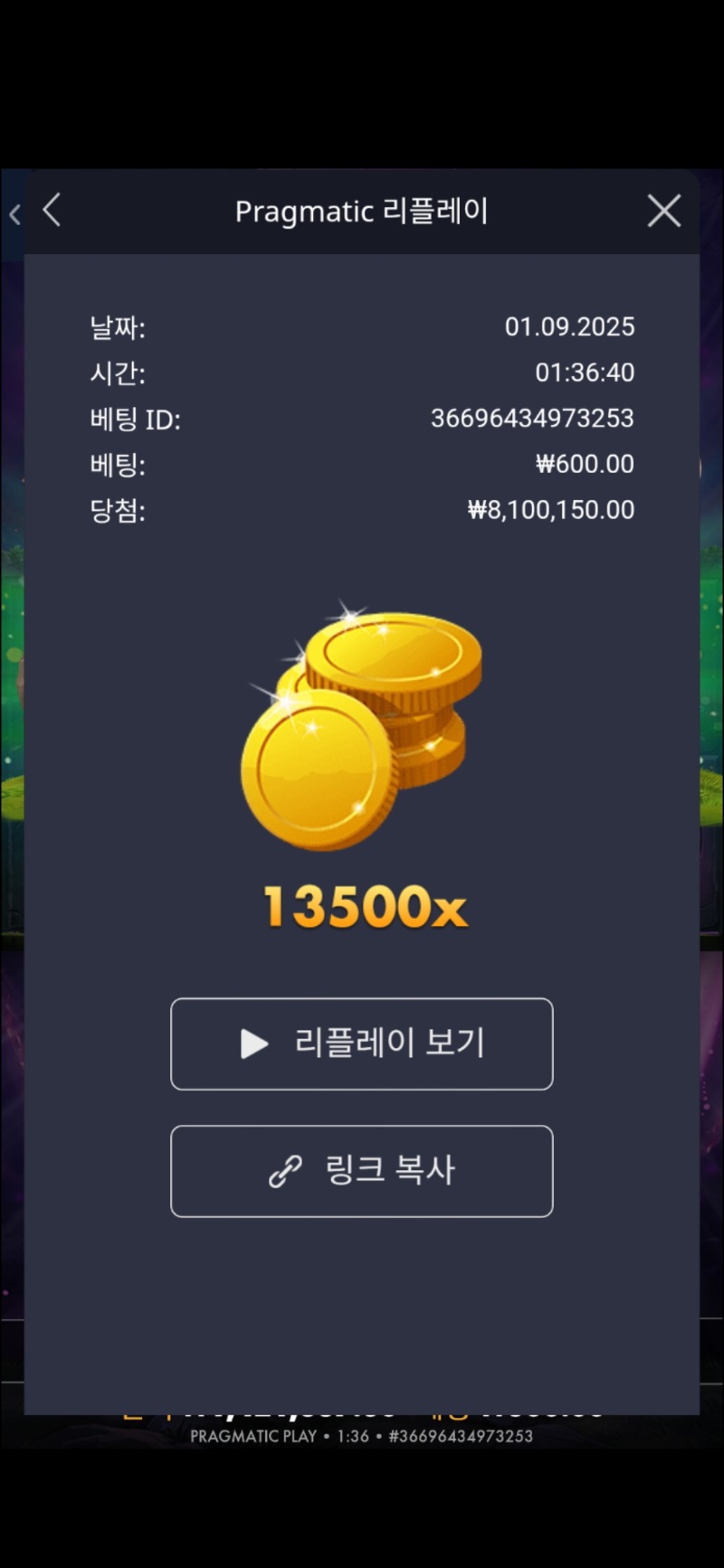 멀린 13500배