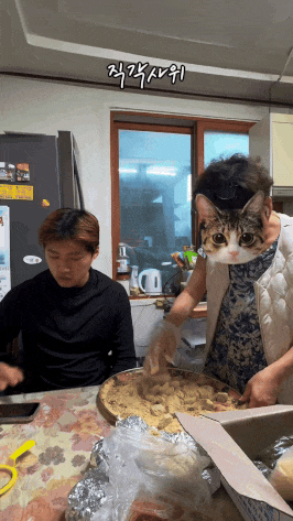 반품 불가