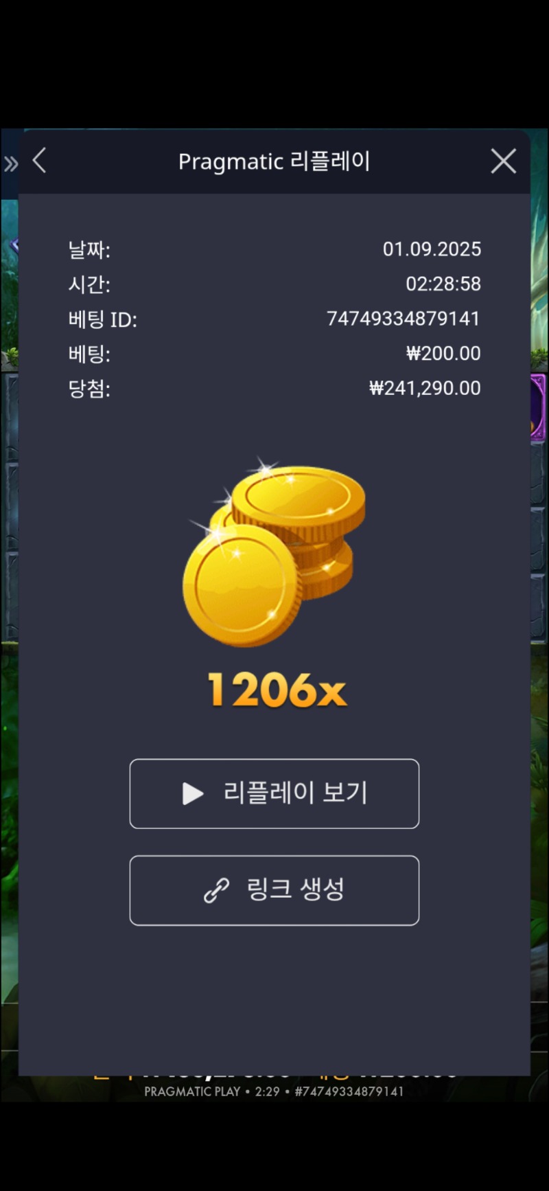 멀린1206배