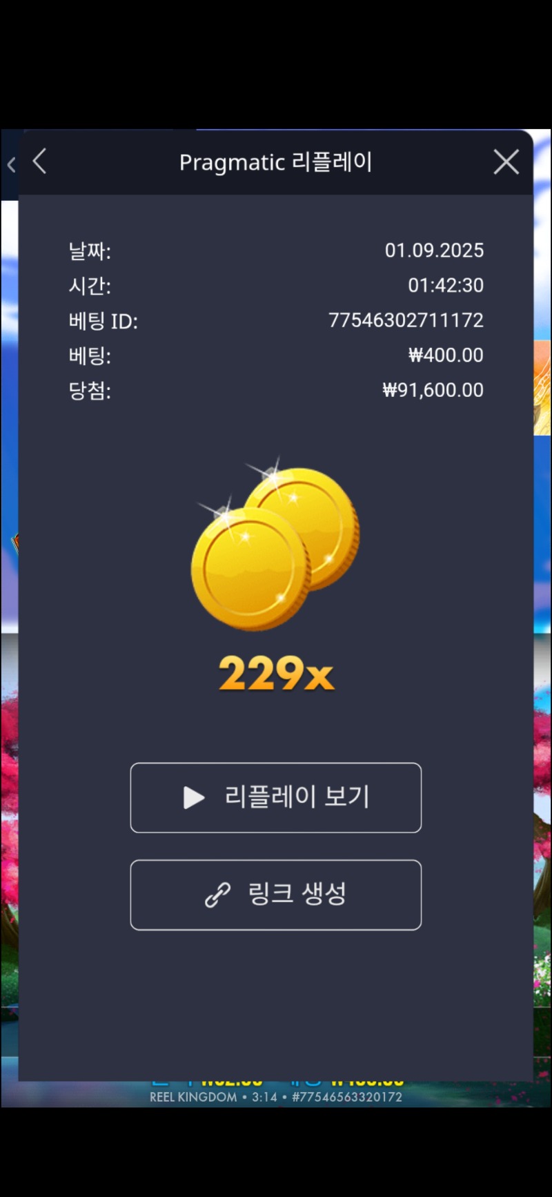 드레곤 배축제 229배