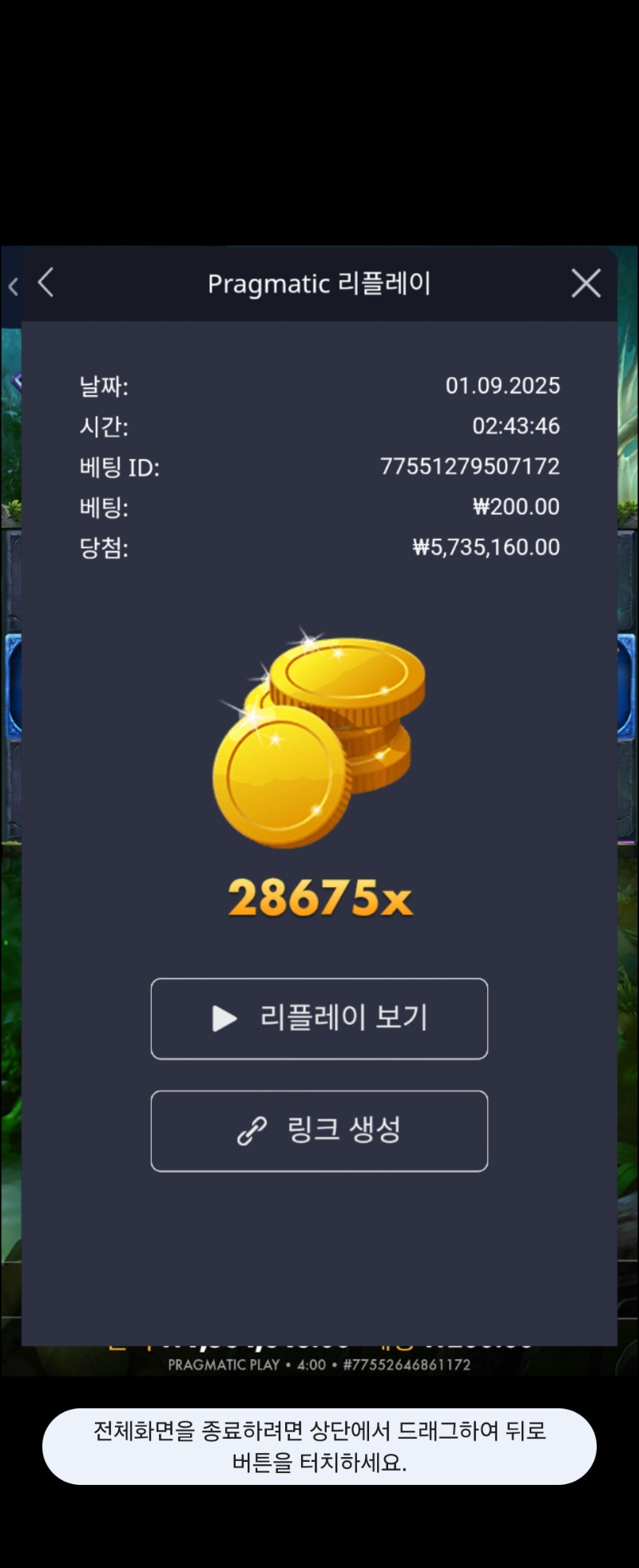 배당왕 멀린28675배