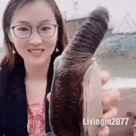 코끼리 조개를 아시나요