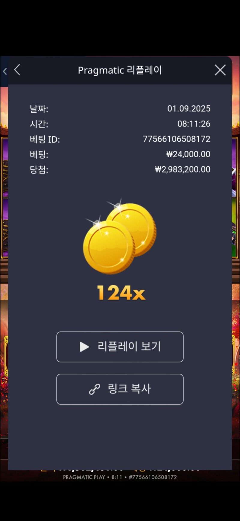 사무메 24000방 바닥지닙 124배