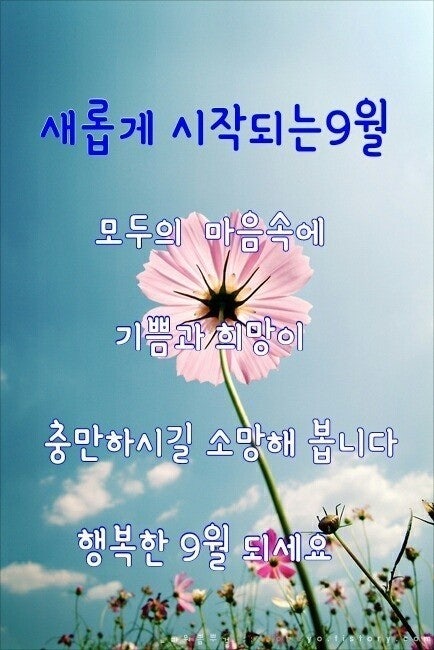 9월♥행복한 9월 되세요.ღ