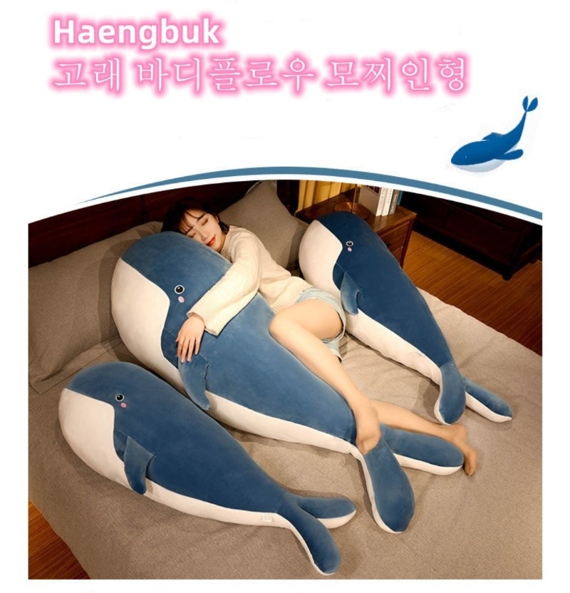 새벽이면~  상어가온다네요ㅋㅋㅋ