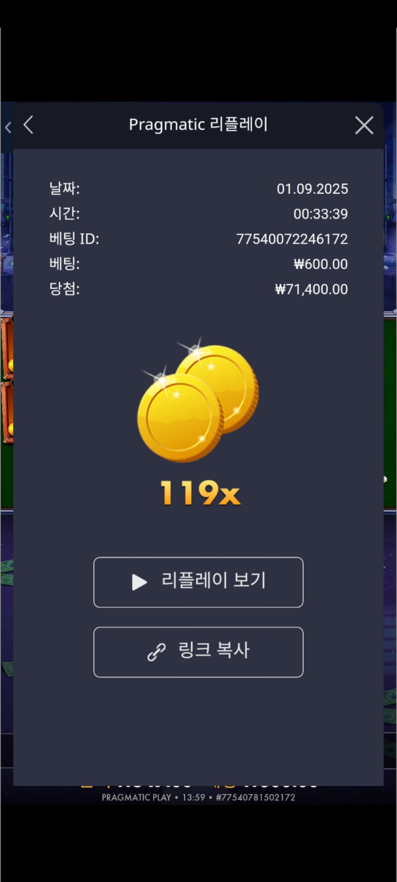 캐시 패트롤 119배