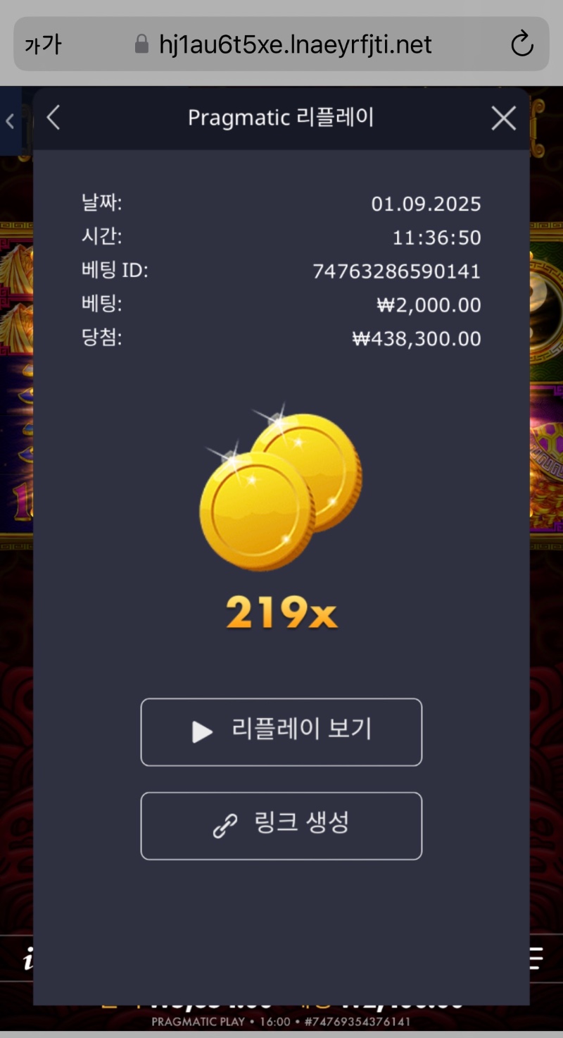 오라메 219 배