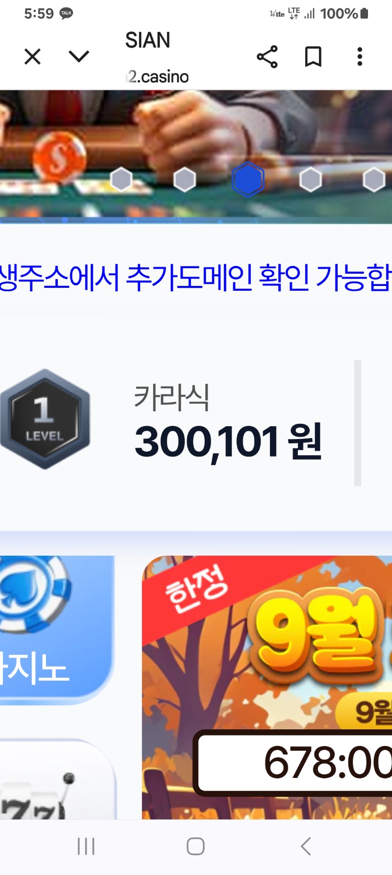포교들어왔네요!!