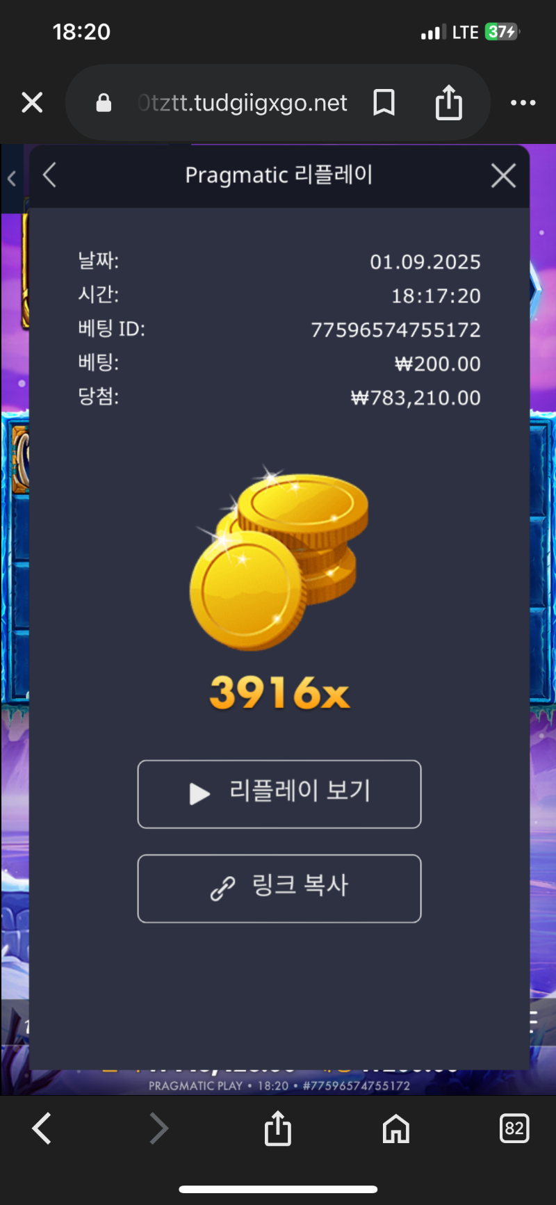 맘모스 3916배