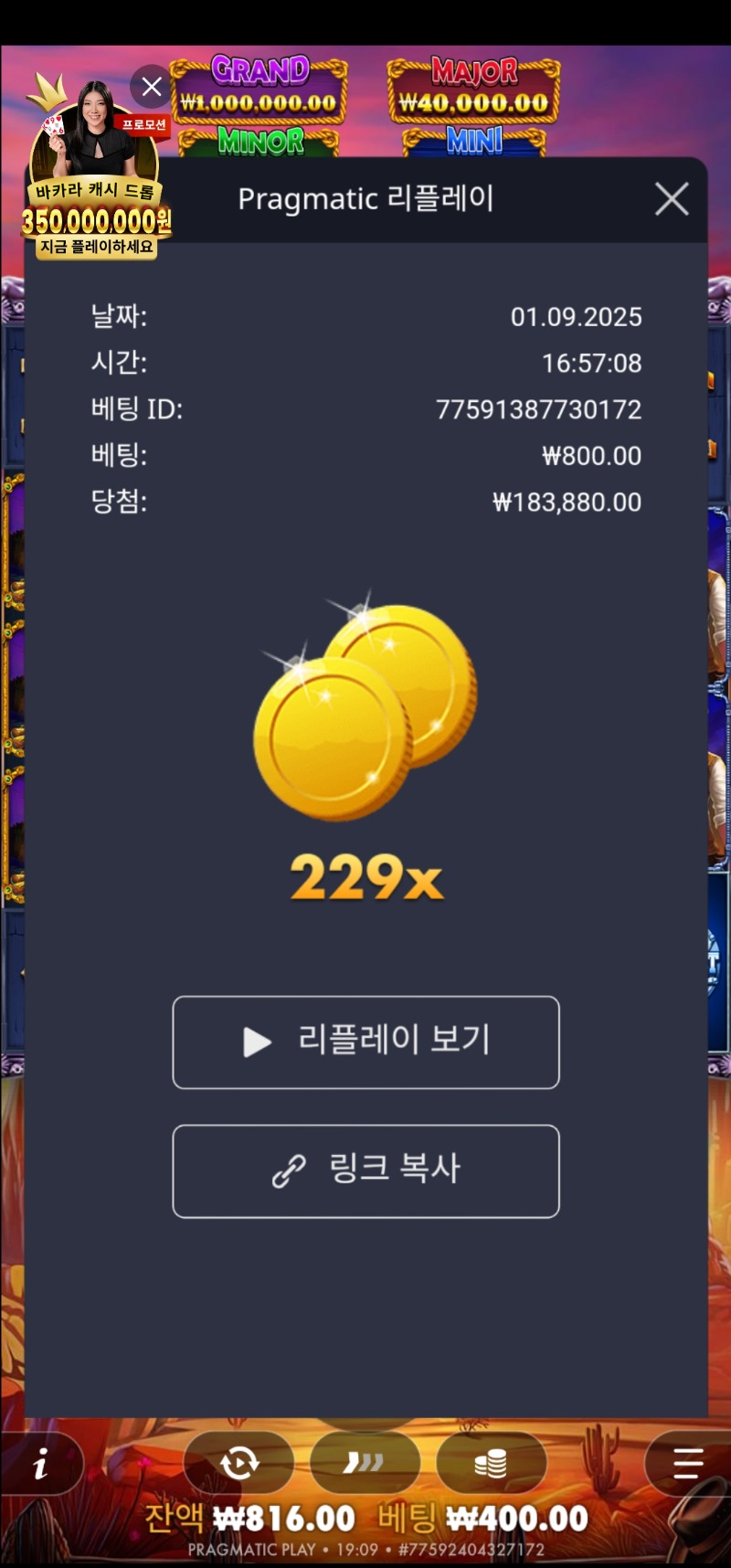 오늘의배당  머스텡