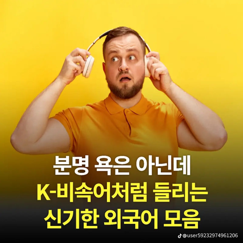굿밤~욕 아니고 말!