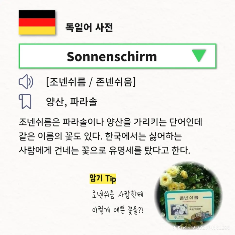 굿밤~욕 아니고 말!