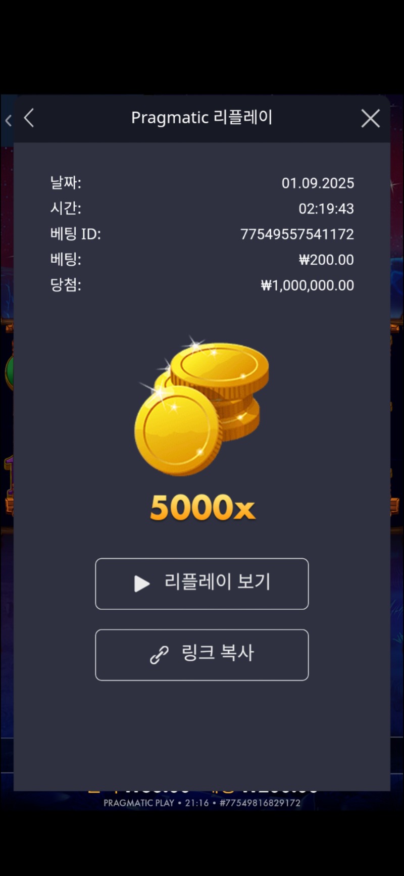 버메가 5000