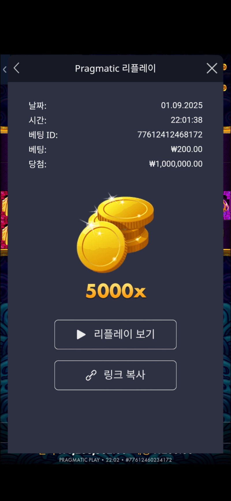 오라메 5000배