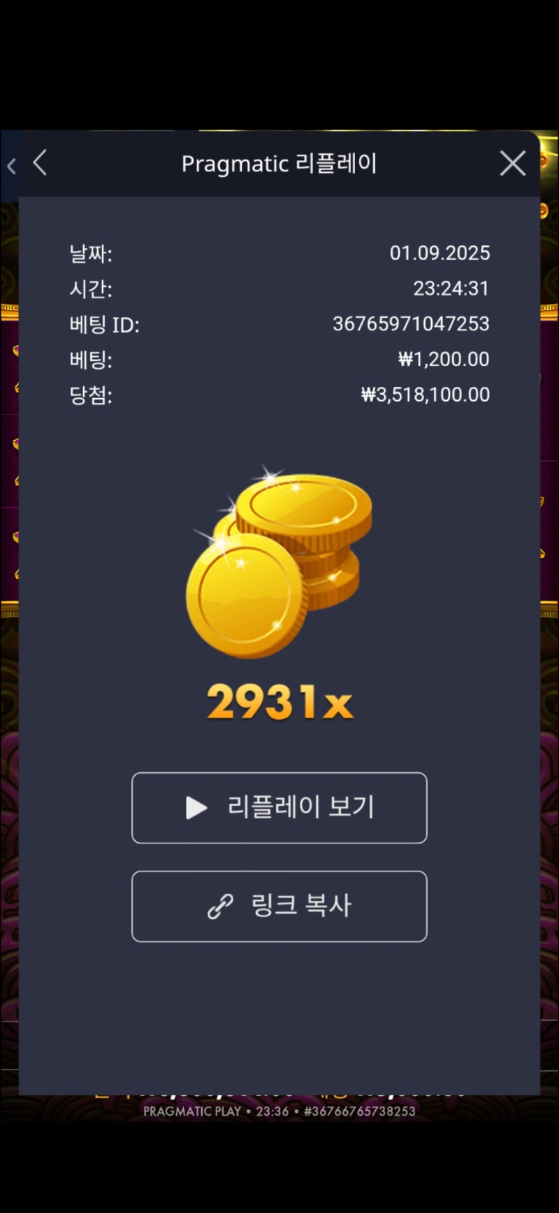 토라메2931