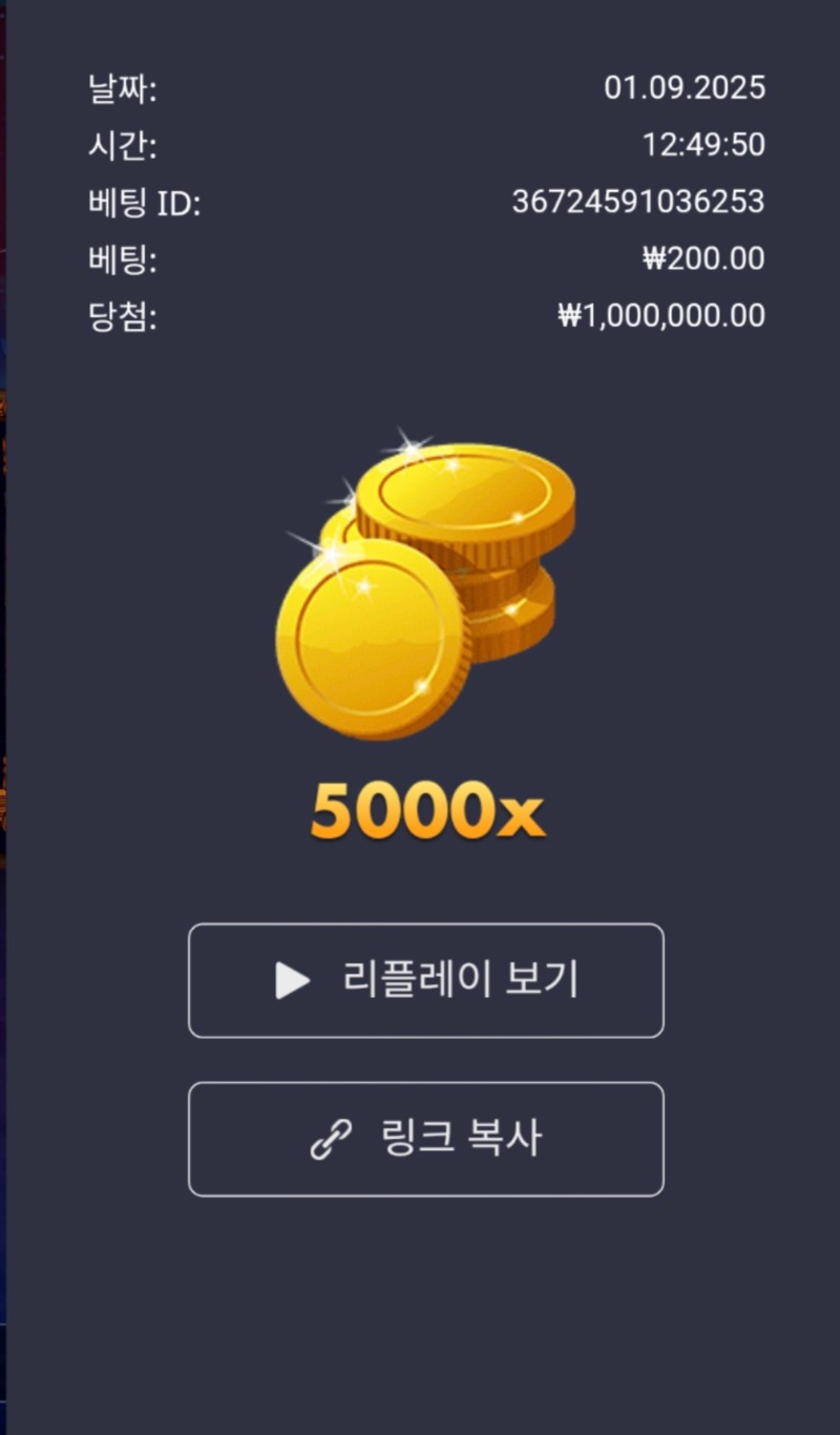 버메가 5000배