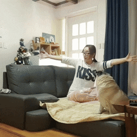 대형견