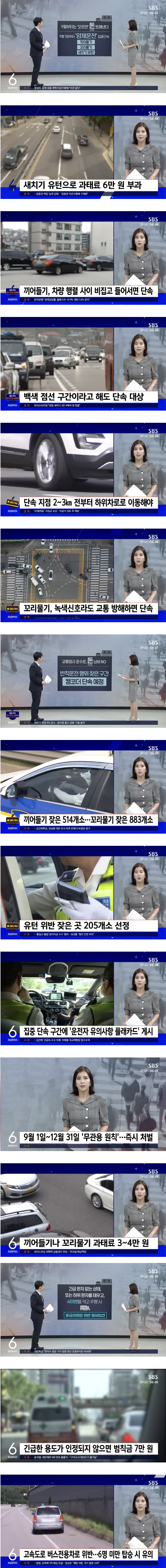 얌체운전 집중단속 즉시처벌