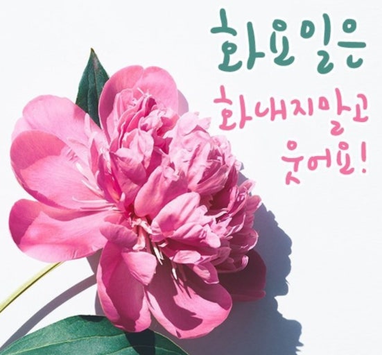 화요일♪오늘 하루도♫ 행복한 하루 되세요ღ