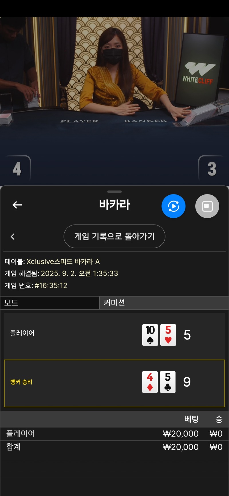 양이쿱 바카라 2패