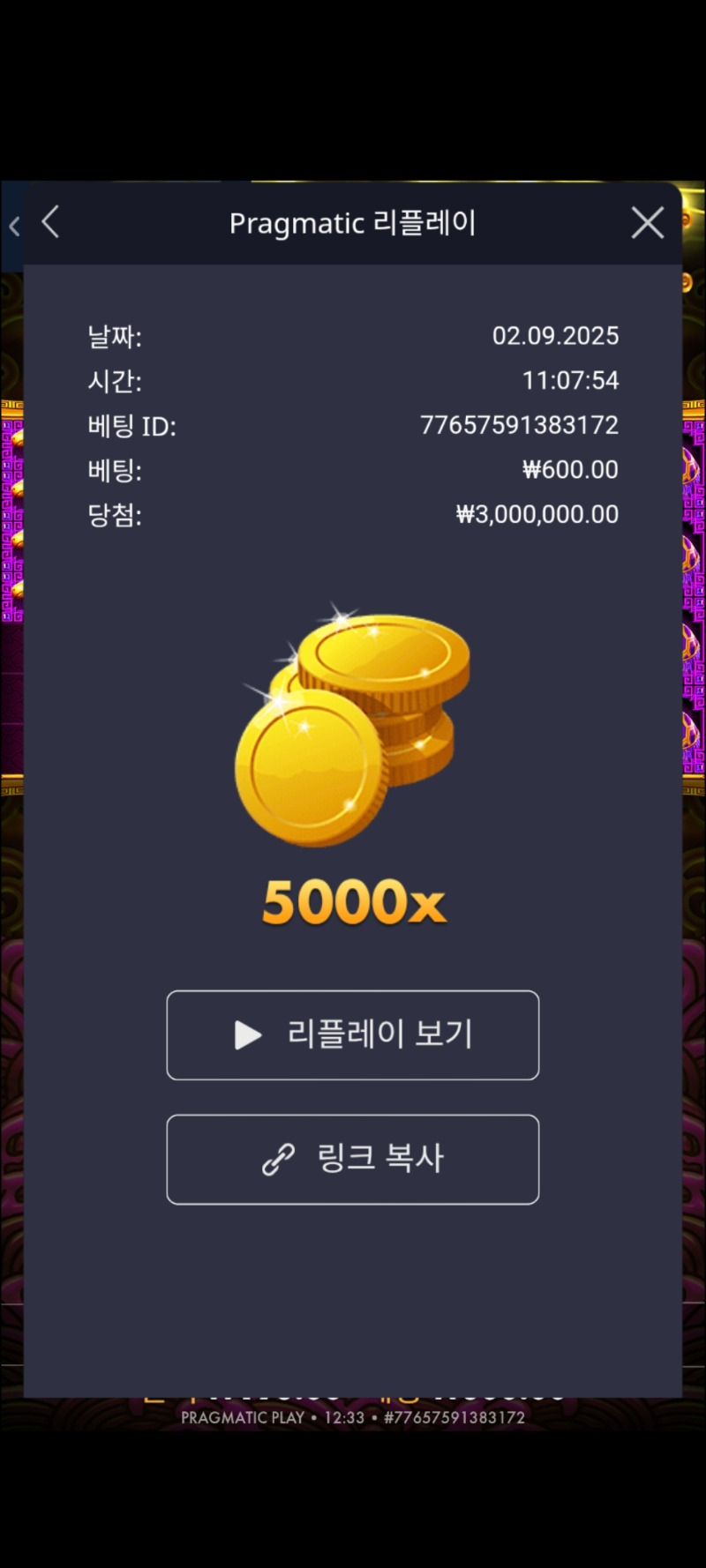토라매5000배