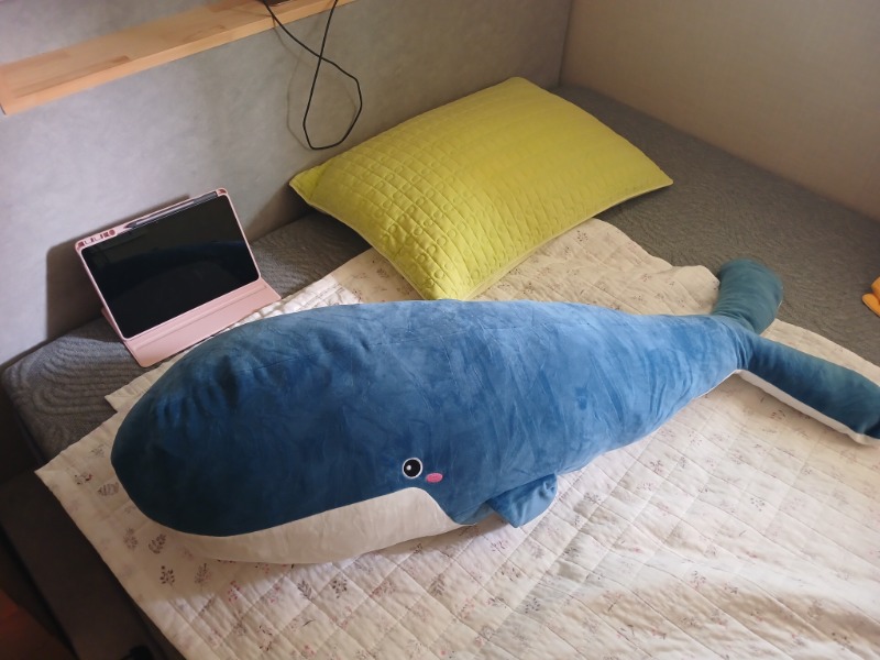 고래왔어요~  세탁완료
