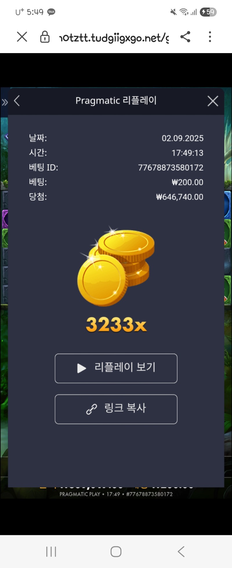 멀린 3233