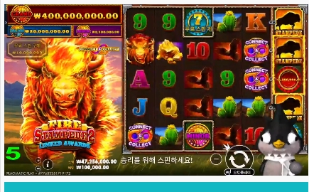 이상한 펭구르 방송 시작~