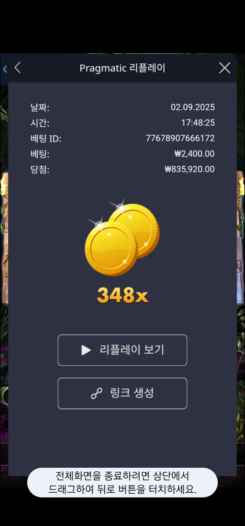 락베가스 348배