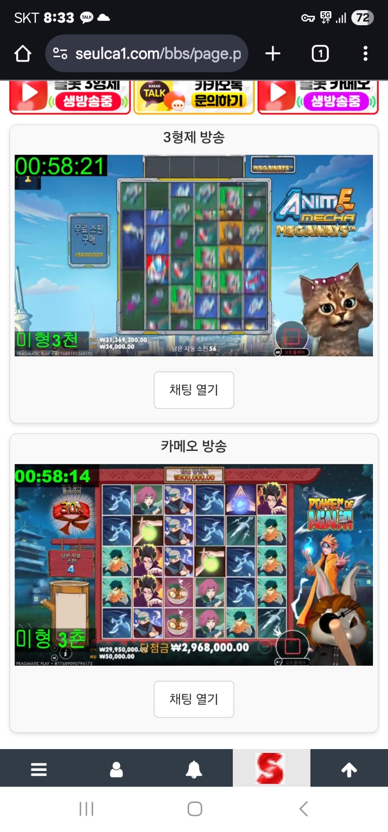 미니형난 가짱