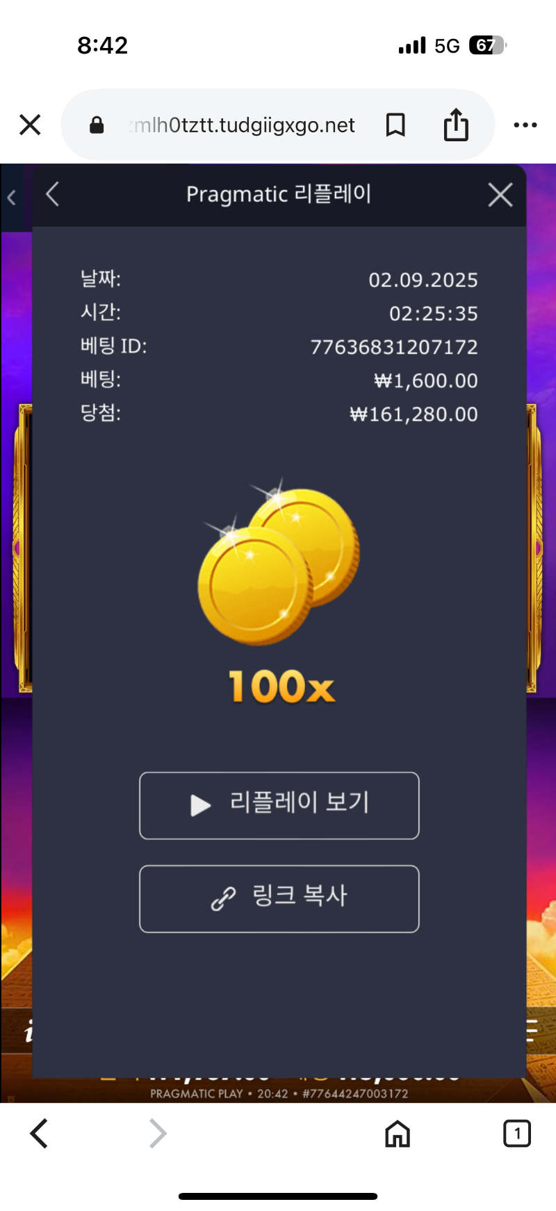 오배당100배