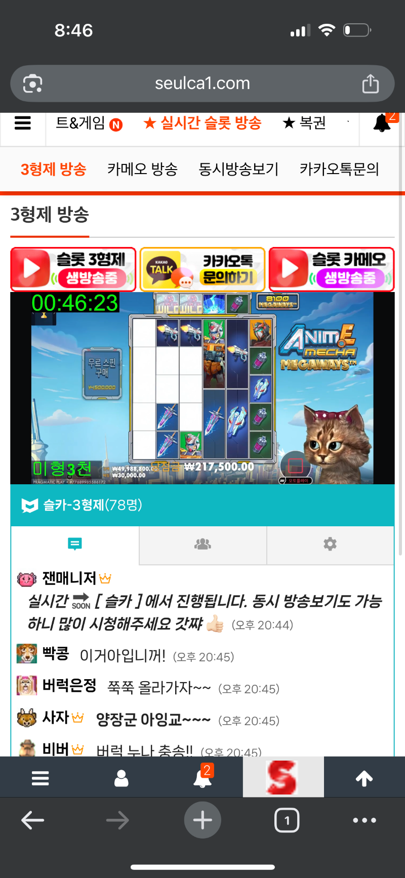 미형 양이님 화팅~