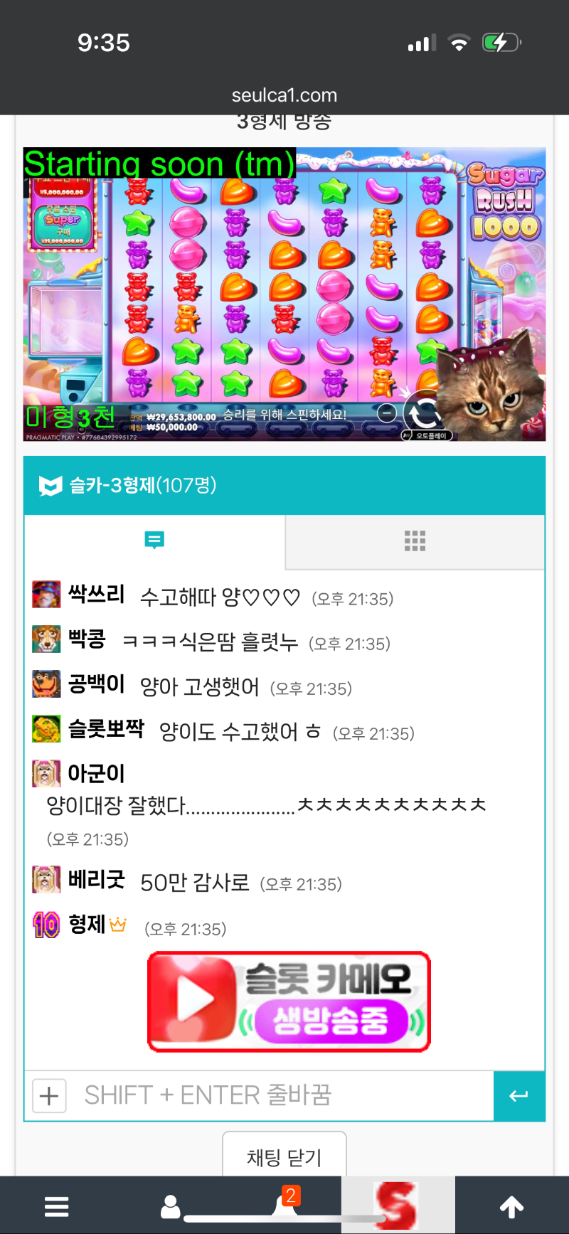 미니형난 양이님승!!!