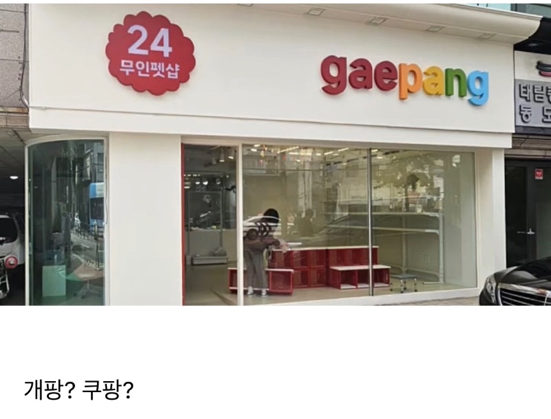 요즘 무인 애완동물 샵 근황