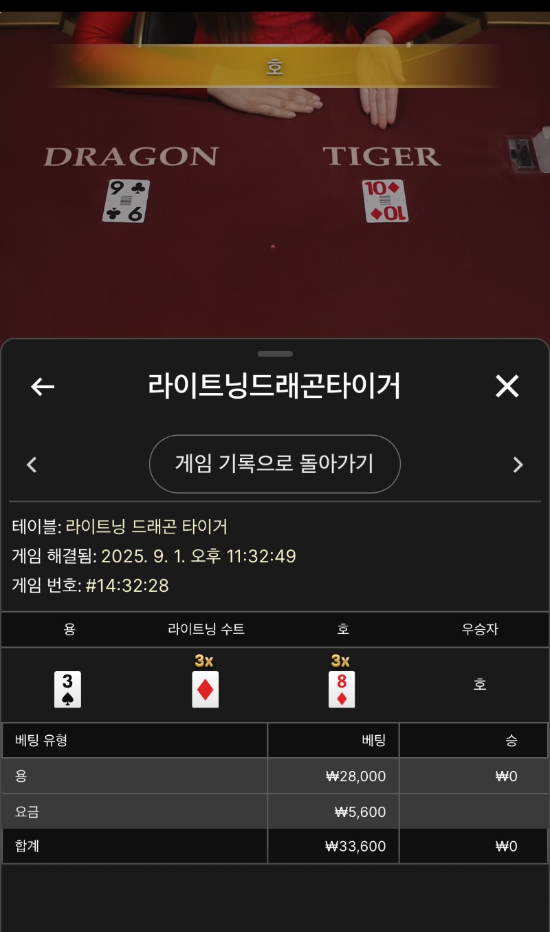 라이트닝용호 패
