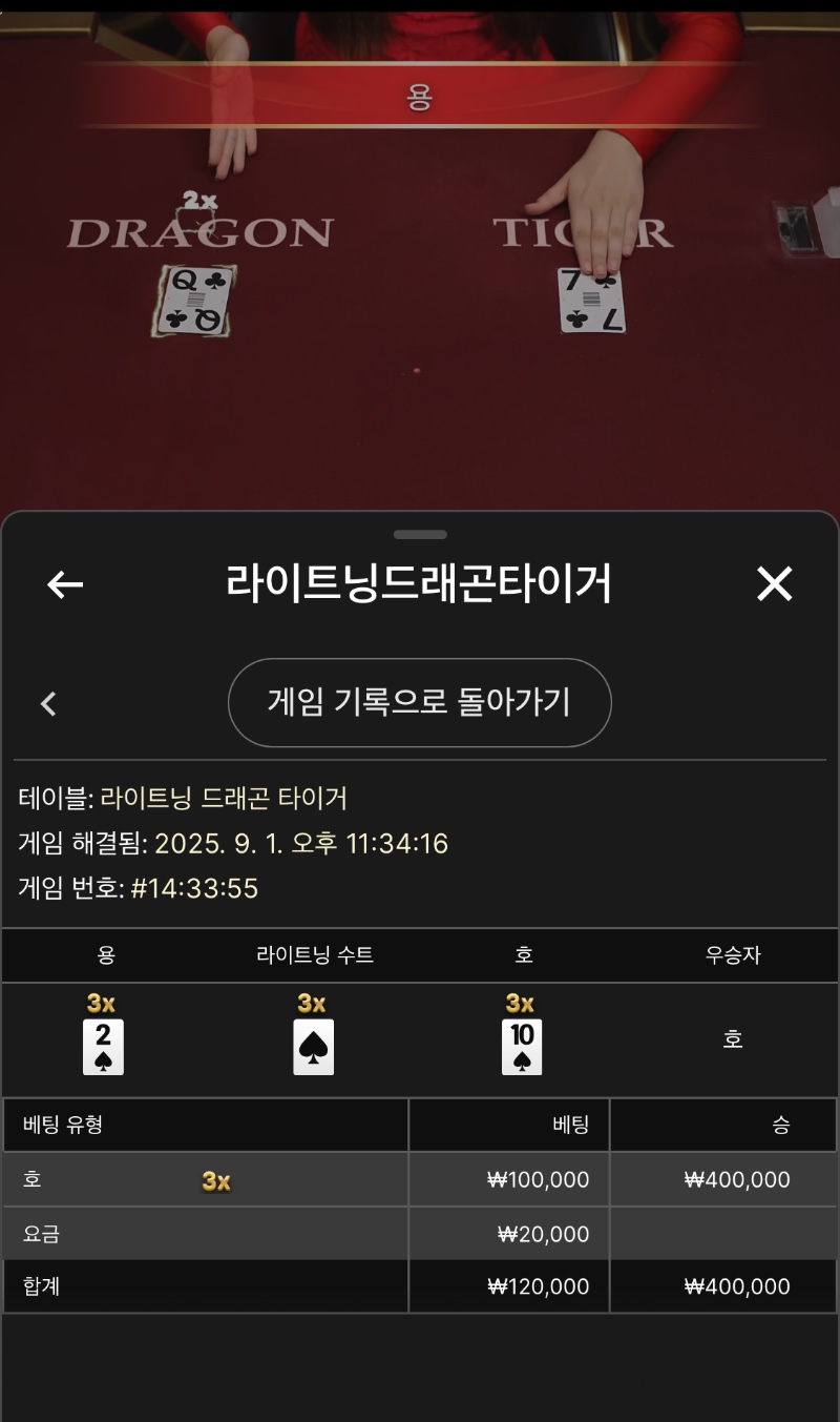 라이트닝용호 승