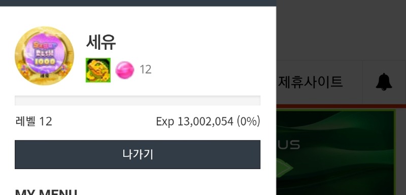 오잉 레벨업!