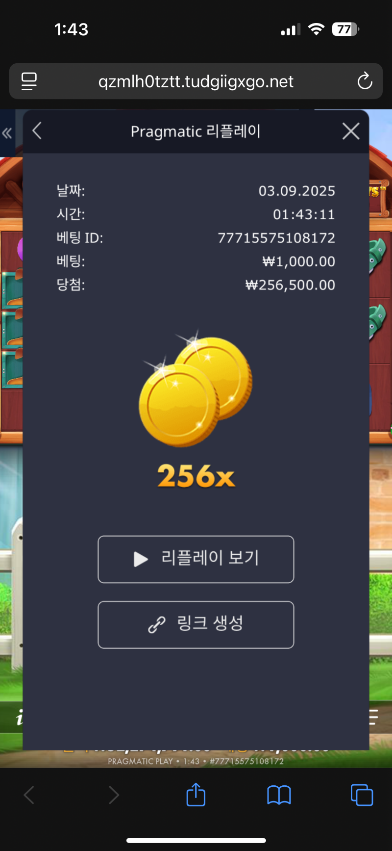 도그메가 256