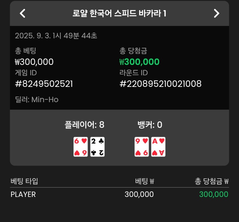 바카라 플레이어 승