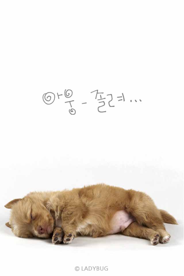 그만 굿밤되세요   헐 자야징