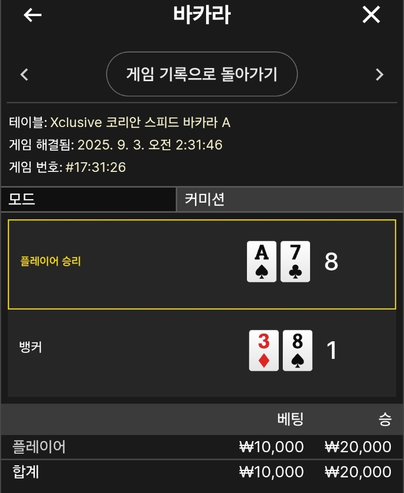 플레이어 소액 승